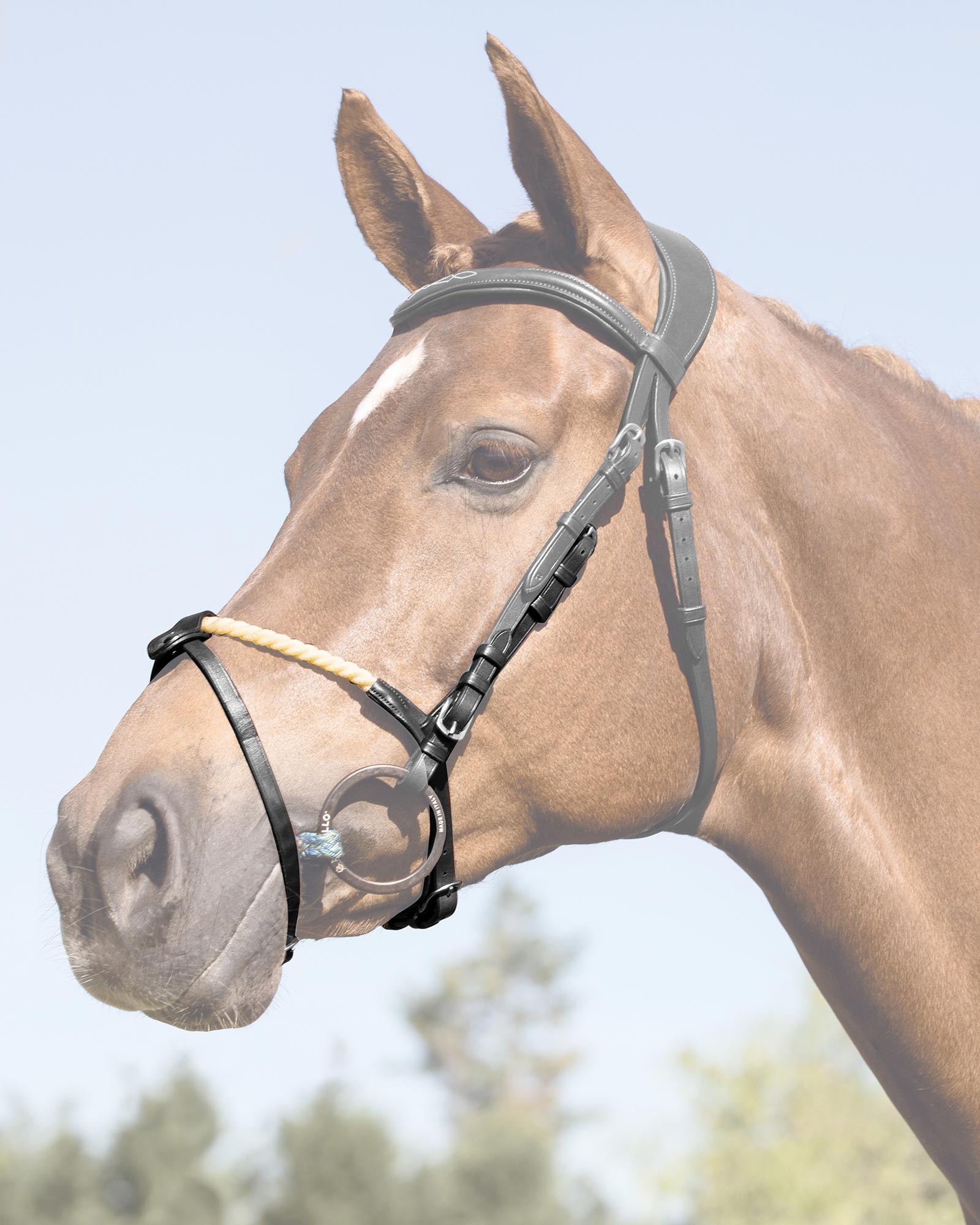 Rope flash noseband