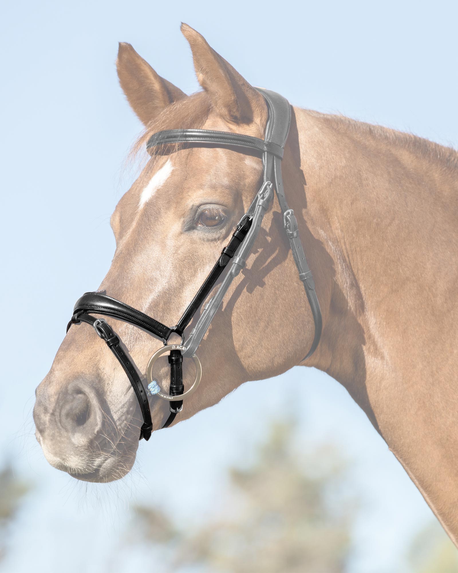 Flash noseband quick coupling