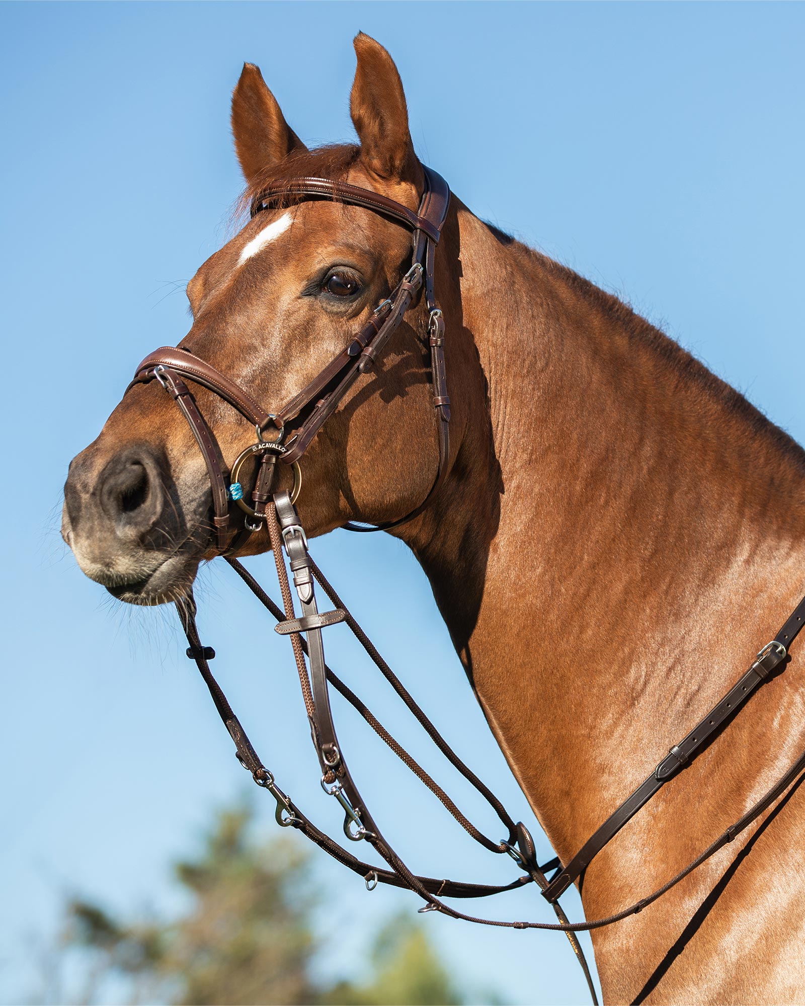 Thiedemann reins tubular nylon