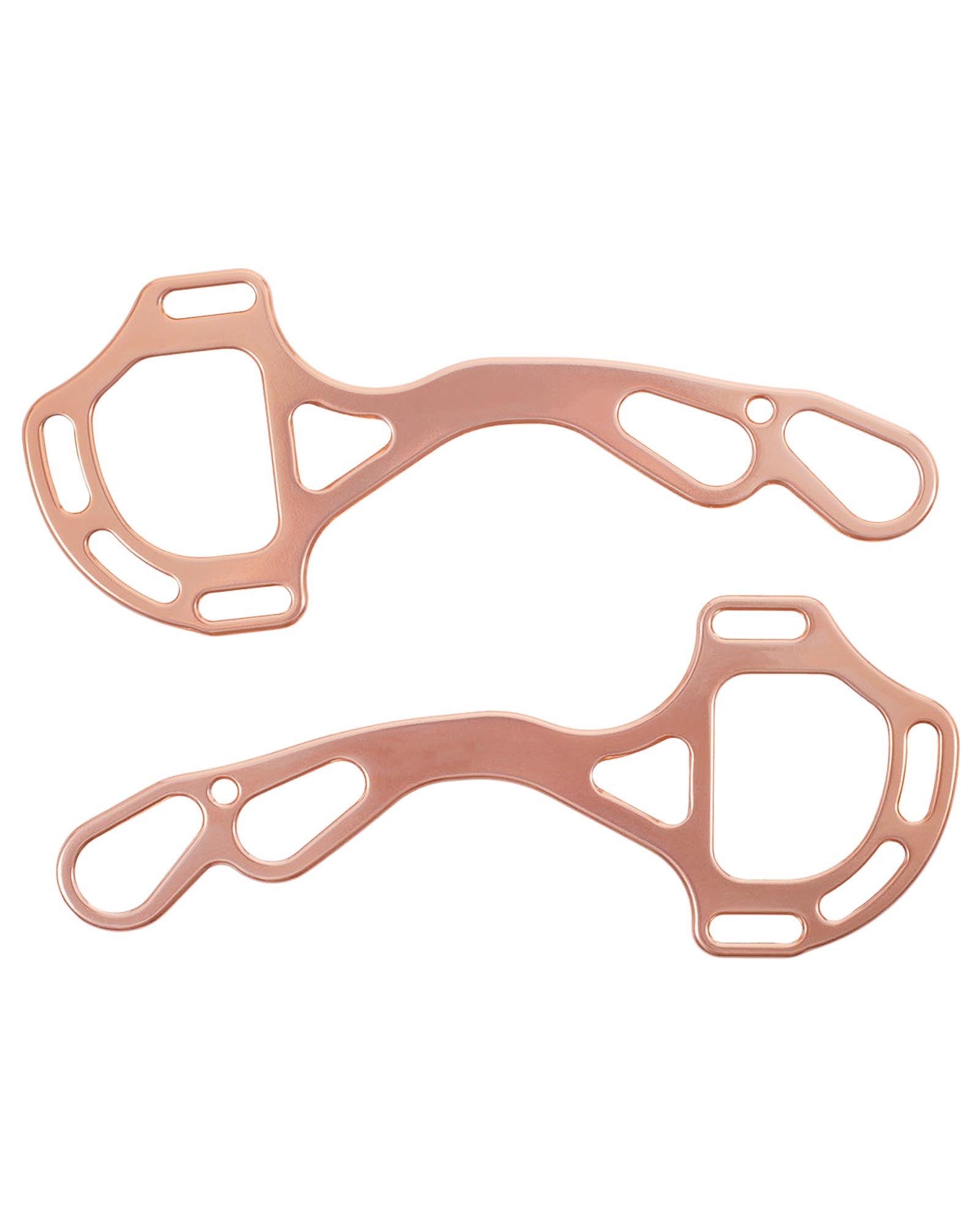 Alupro Hackamore bit