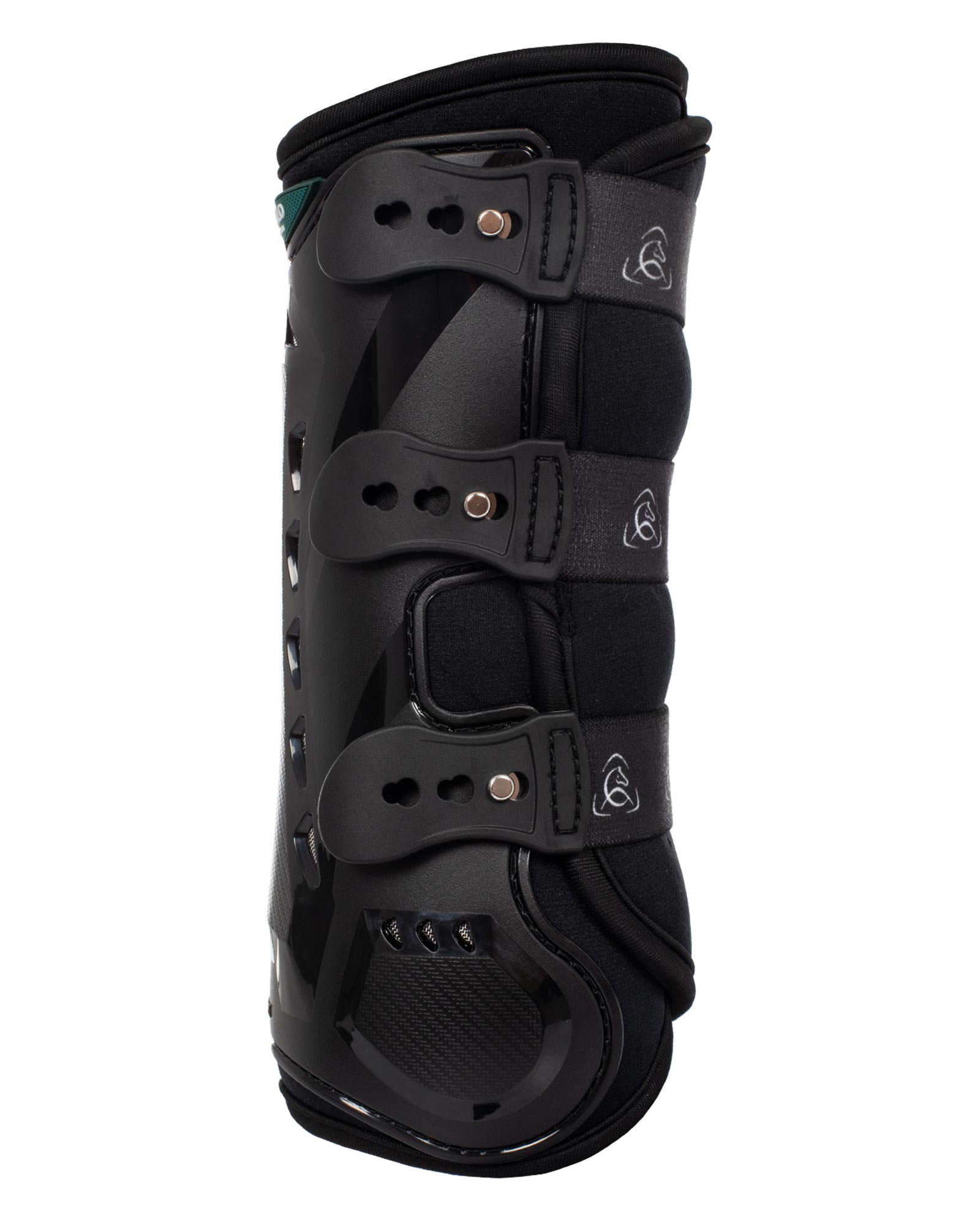 Gamaschen Dressur anatomisch hinten
