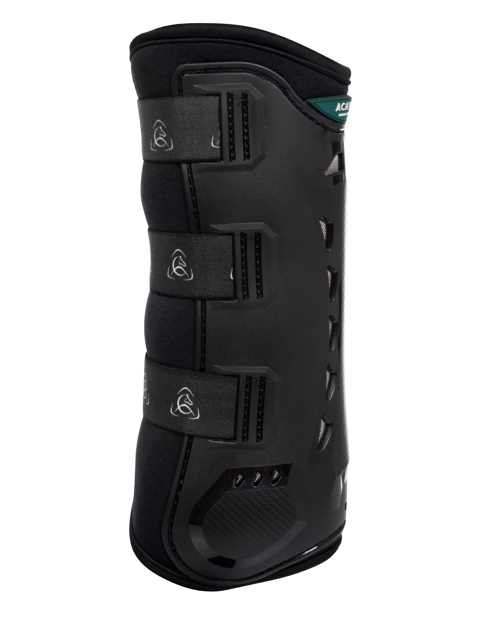 Gamaschen Dressur anatomisch hinten