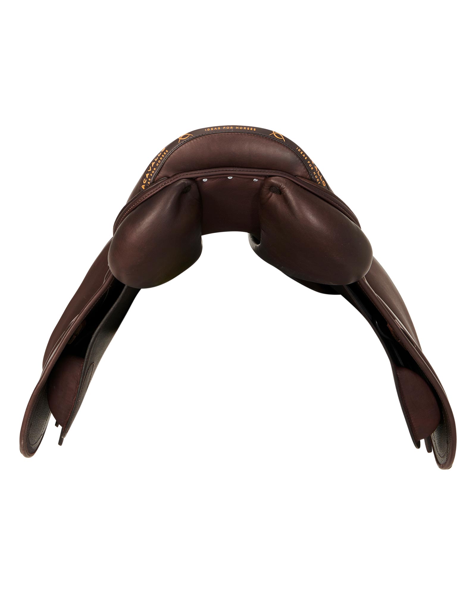 Modigliani jumping saddle latex panels