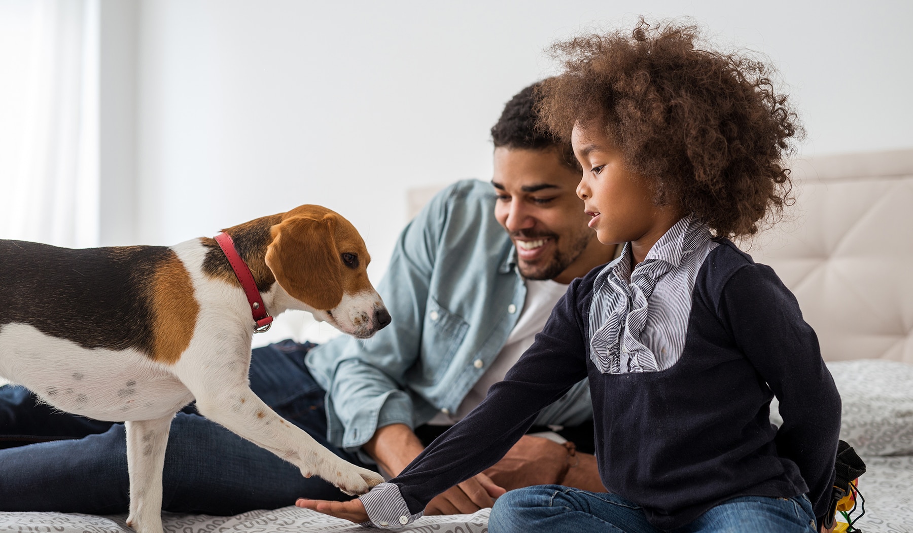 Come prendersi cura di un cane | Purinashop