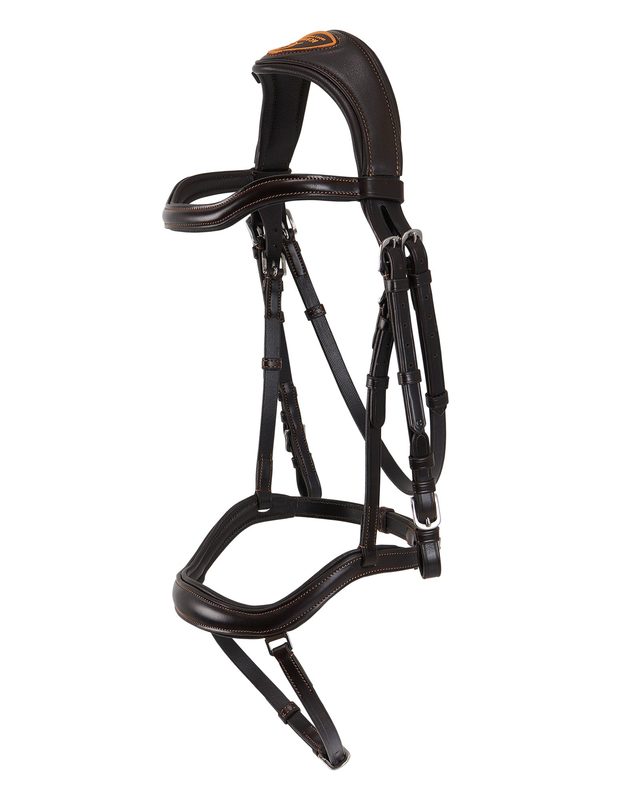 Allegoria anatomic bridle