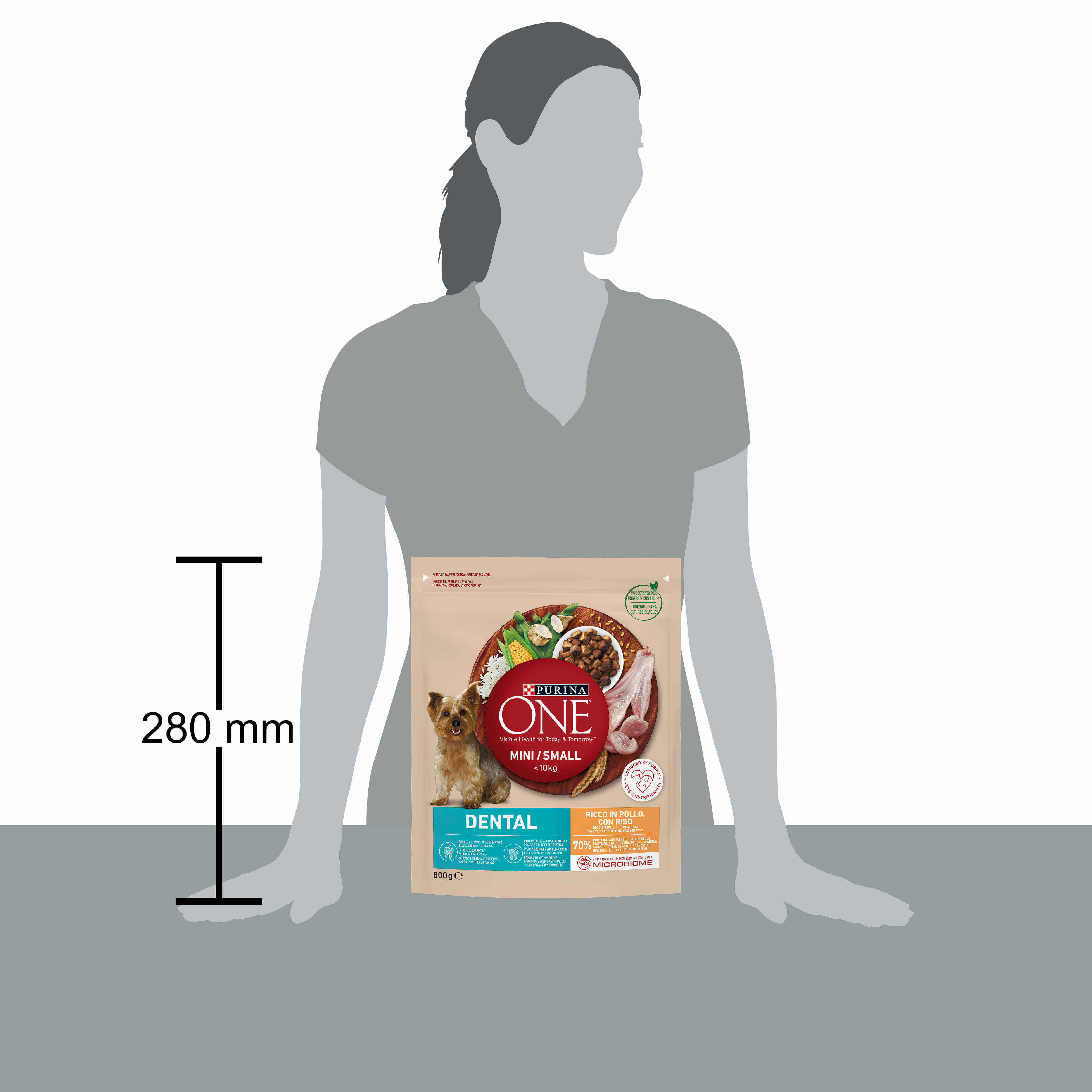 PURINA ONE® MINI/SMALL < 10kg Dental Ricco in Pollo con Riso