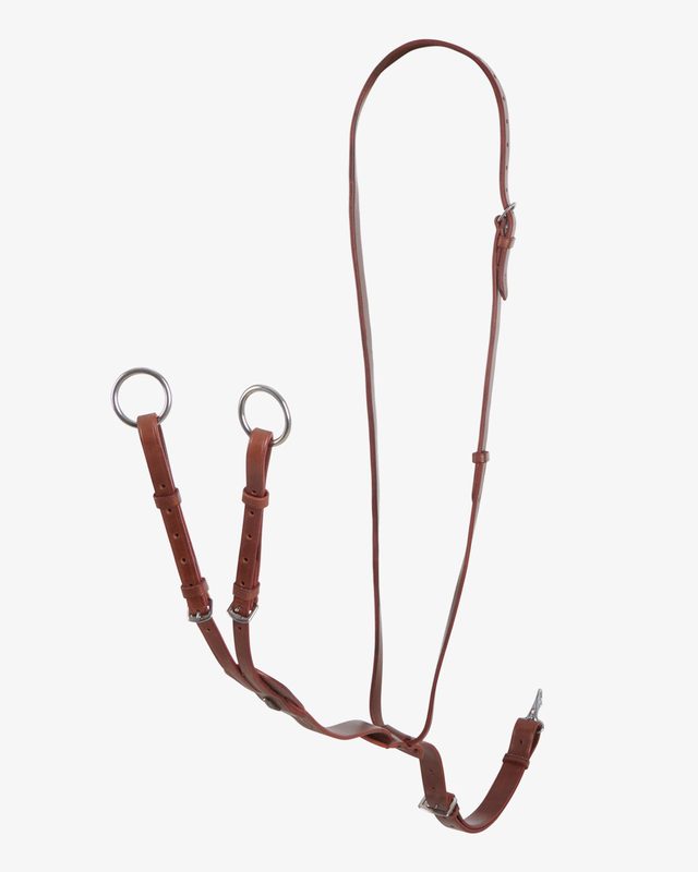 Durable leather collier martingale