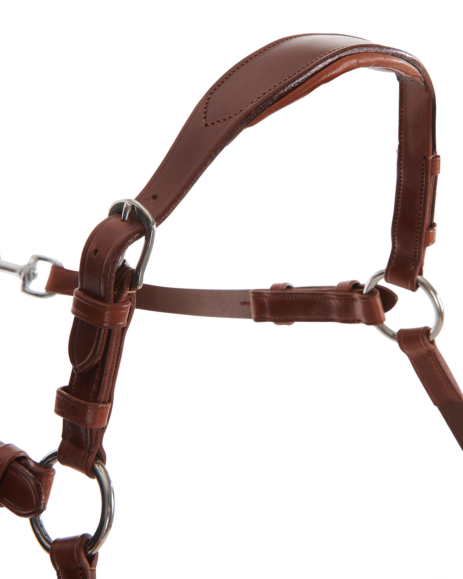 Five-point breastplate calfskin