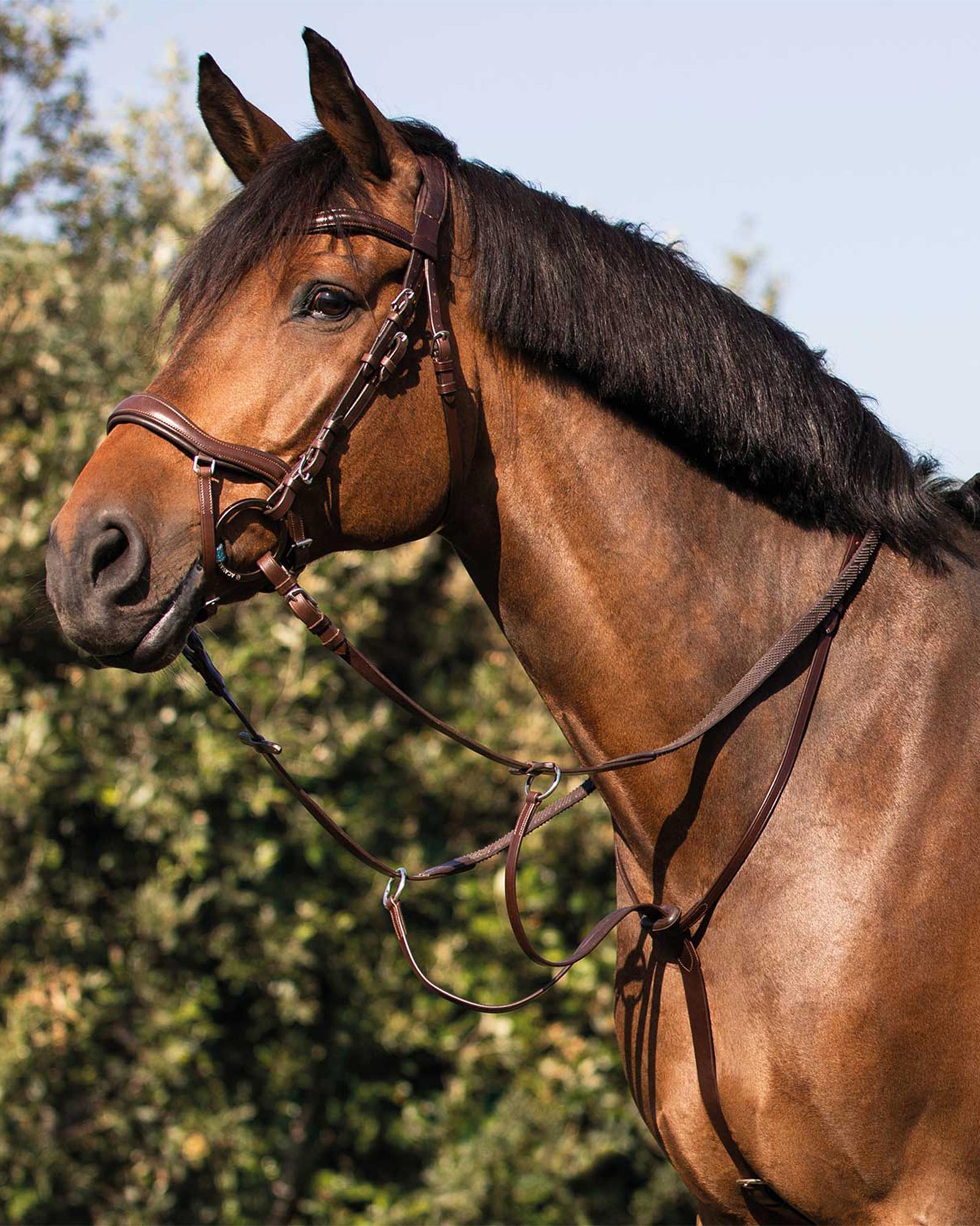 Weaver Leather Basic Non - Adjustable Nylon Halter - Turquoise - 1 Inch - Foto 4