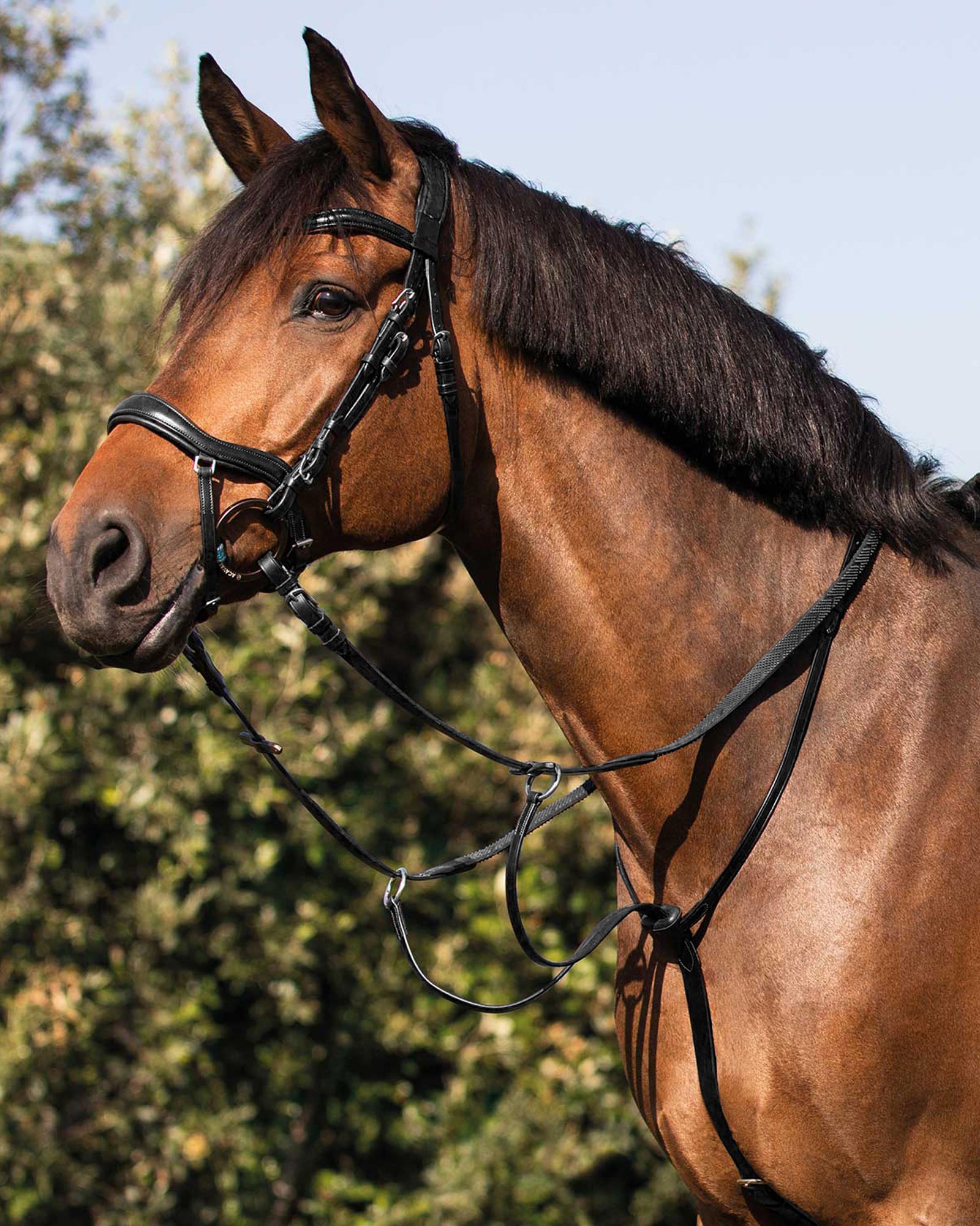 Collier martingale calfskin