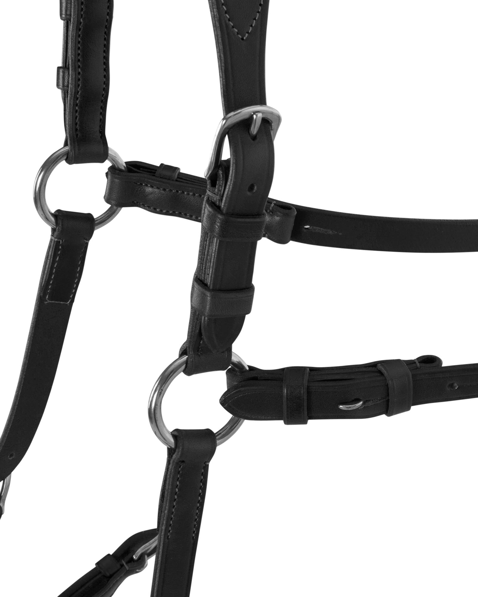 Five-point breastplate calfskin