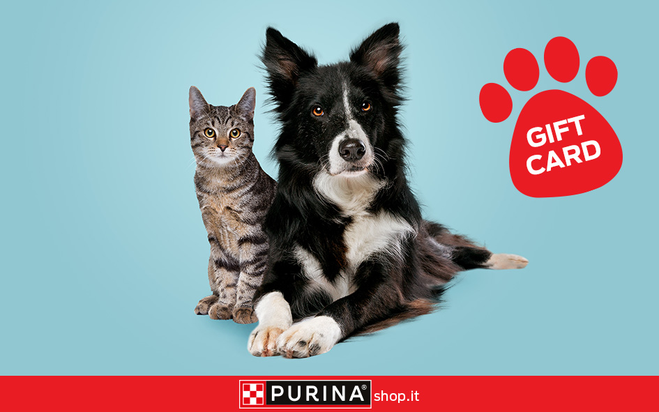 Gift card Purinashop