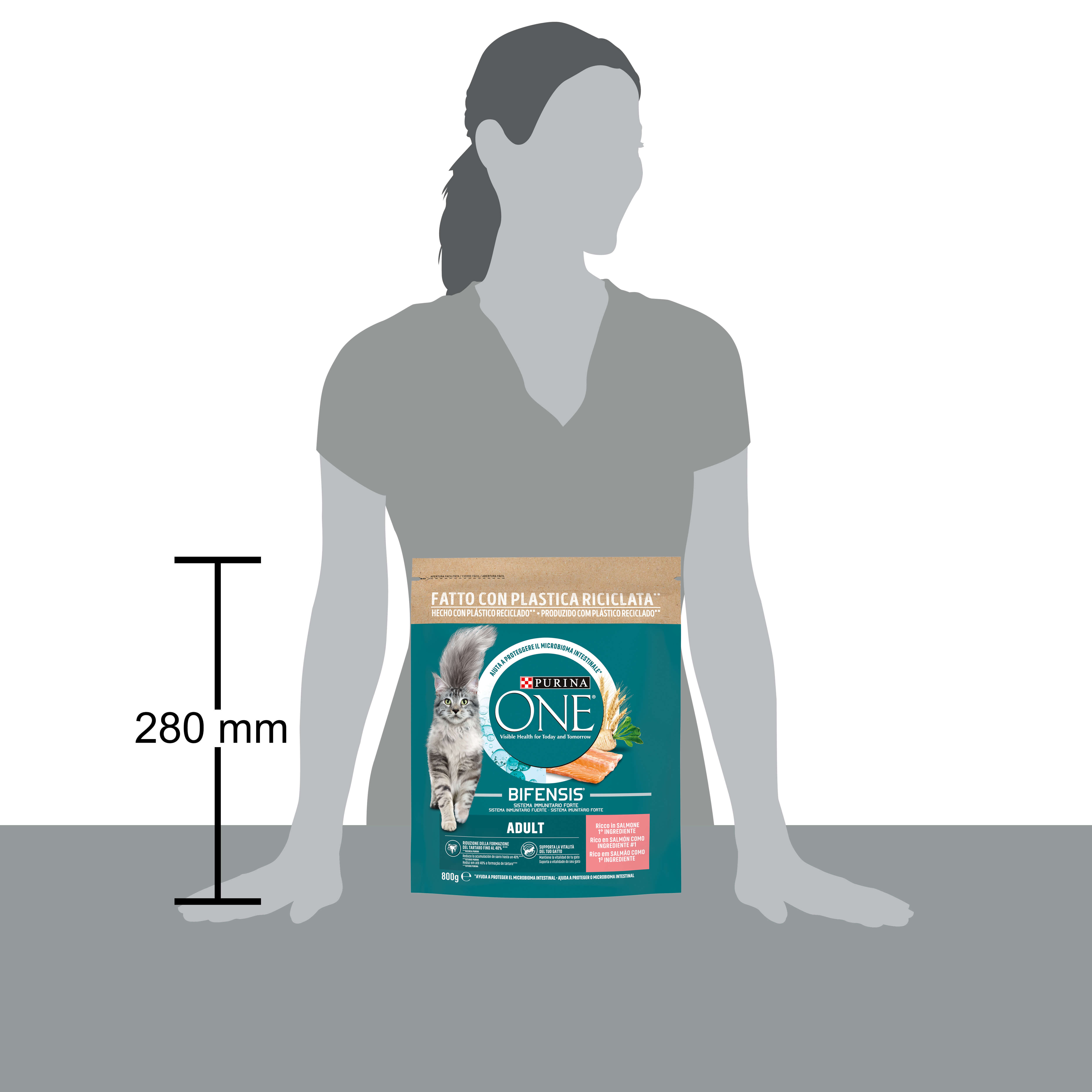 PURINA ONE® Bifensis® Adult Salmone e Cereali Integrali 800g
