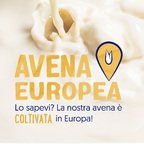 ALPRO QUESTO NON È LATTE, Bevanda Vegetale all'Avena Gusto Latte 1l