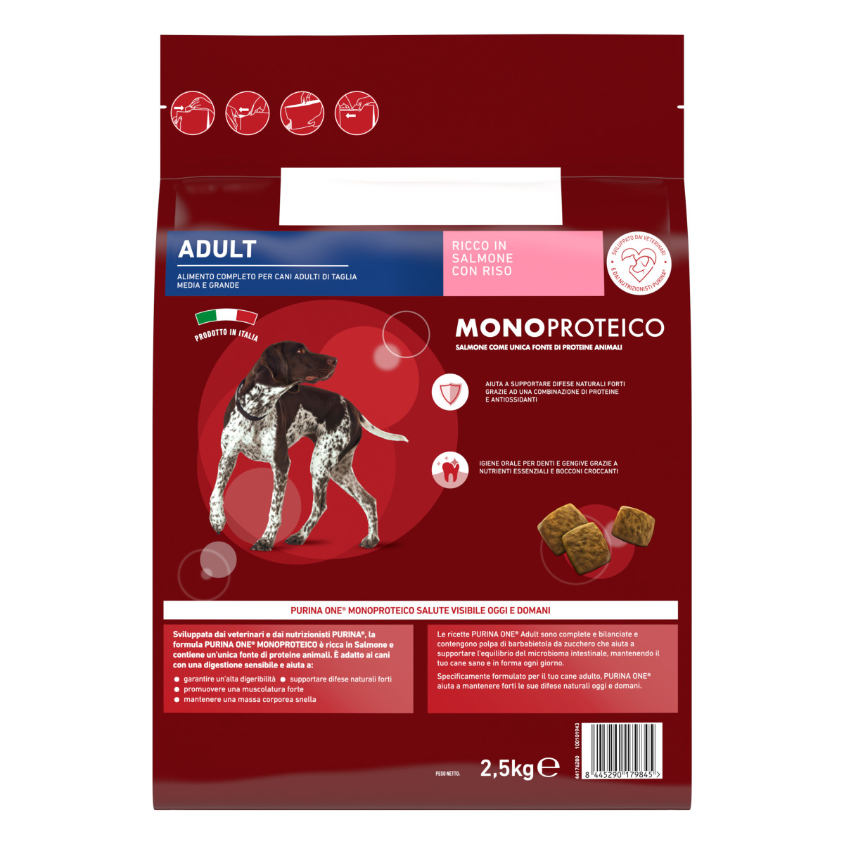 Purina ONE® Dog Adult Monoproteico Ricco in Salmone con Riso
