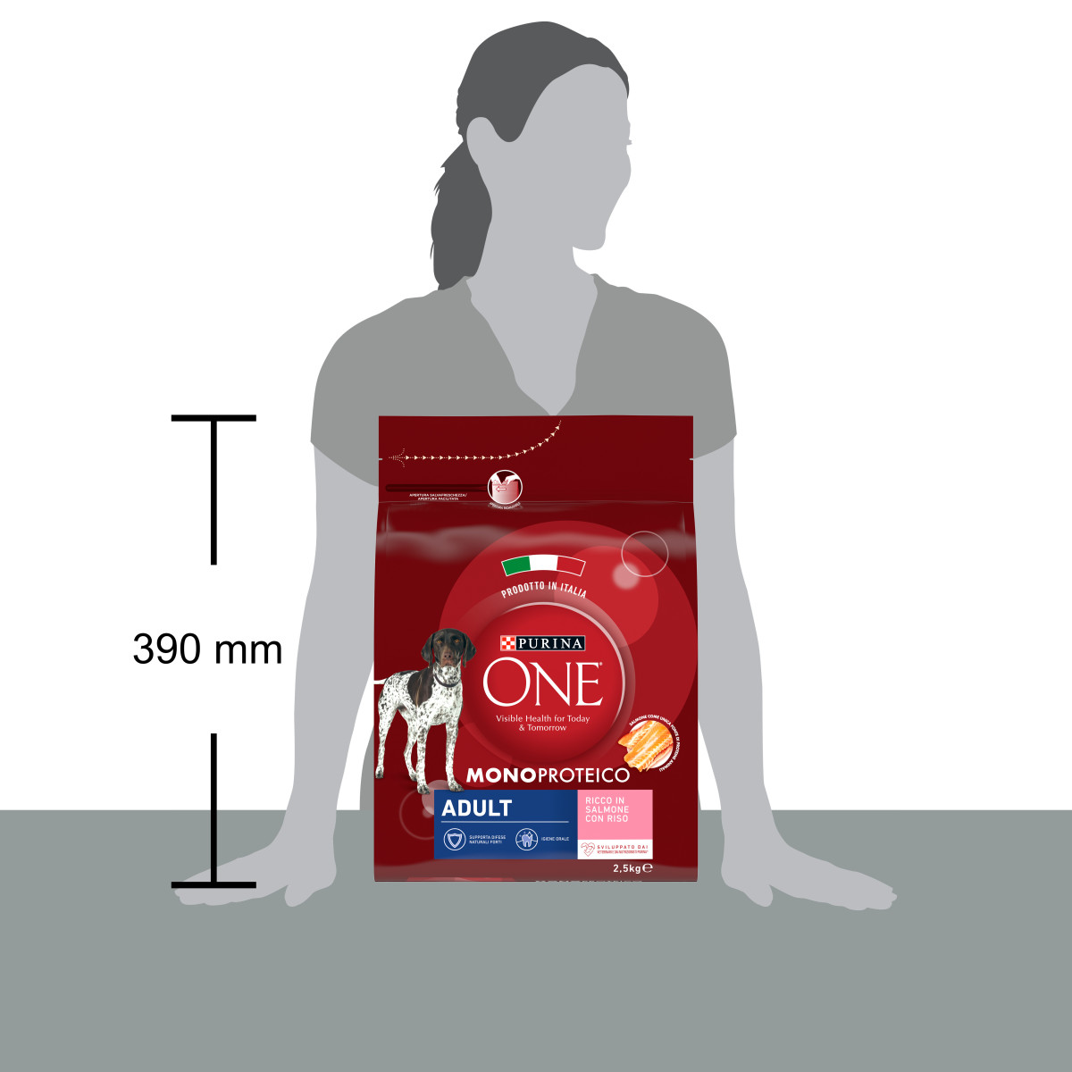 Purina ONE® Dog Adult Monoproteico Ricco in Salmone con Riso
