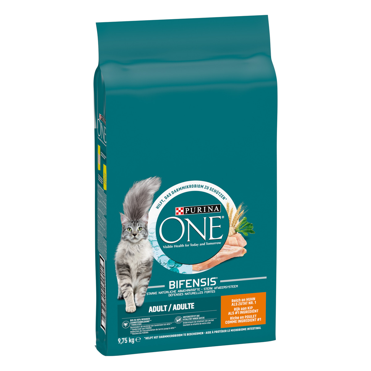 Crocchette per Gatto Adulto Ricco in Pollo e Cereali Integrali – Purina ONE® Bifensis 9,75 kg