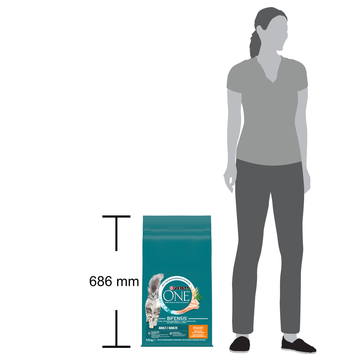 Crocchette per Gatto Adulto Ricco in Pollo e Cereali Integrali – Purina ONE® Bifensis 9,75 kg