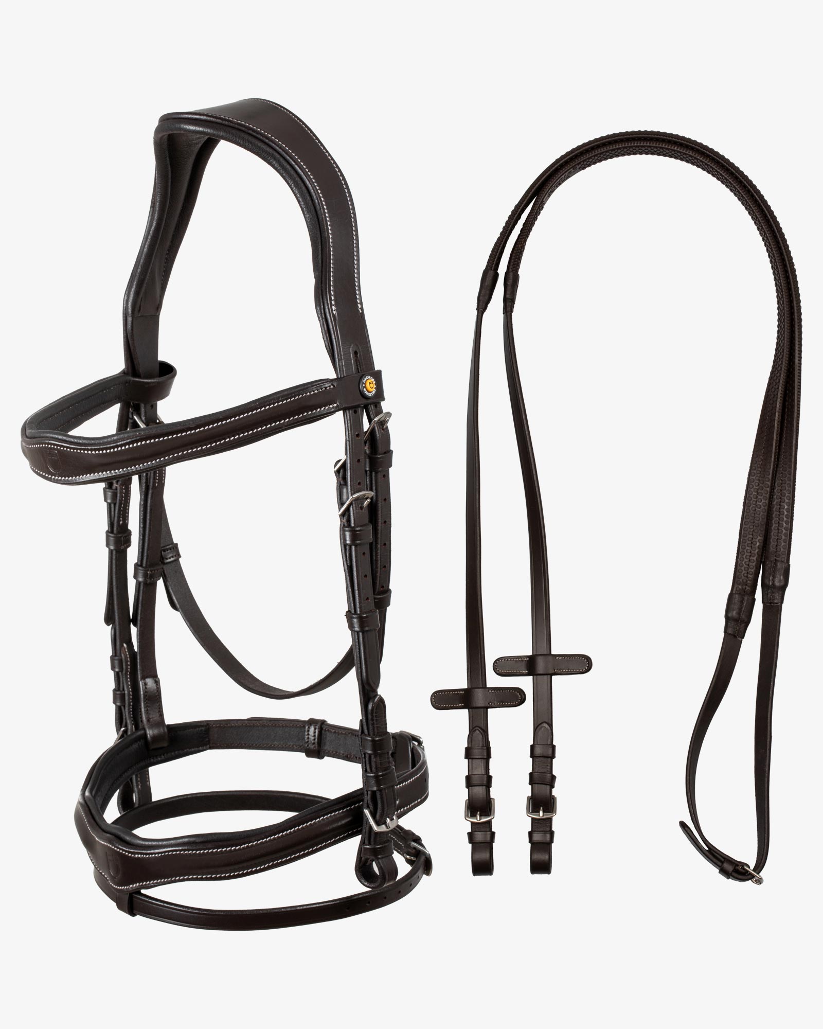 Anatomical bridle with logo