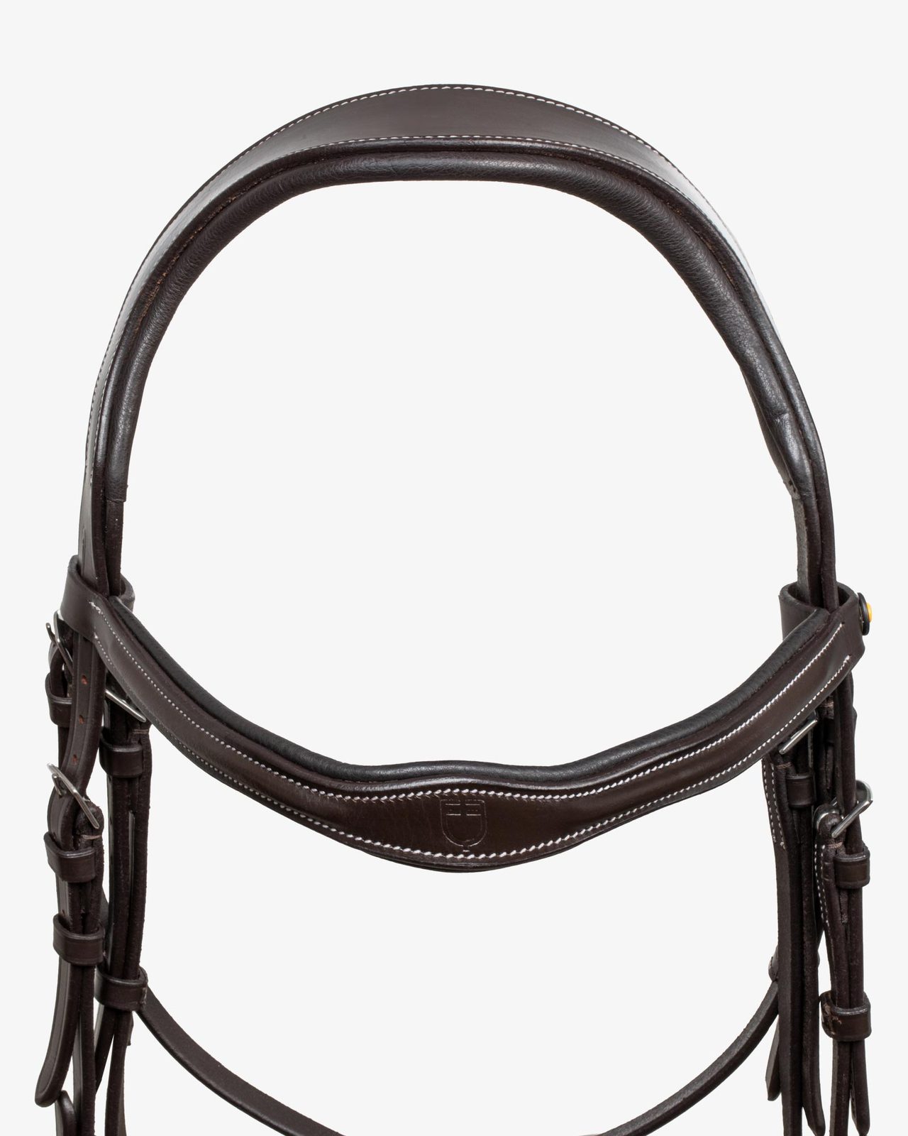 Anatomical bridle with logo