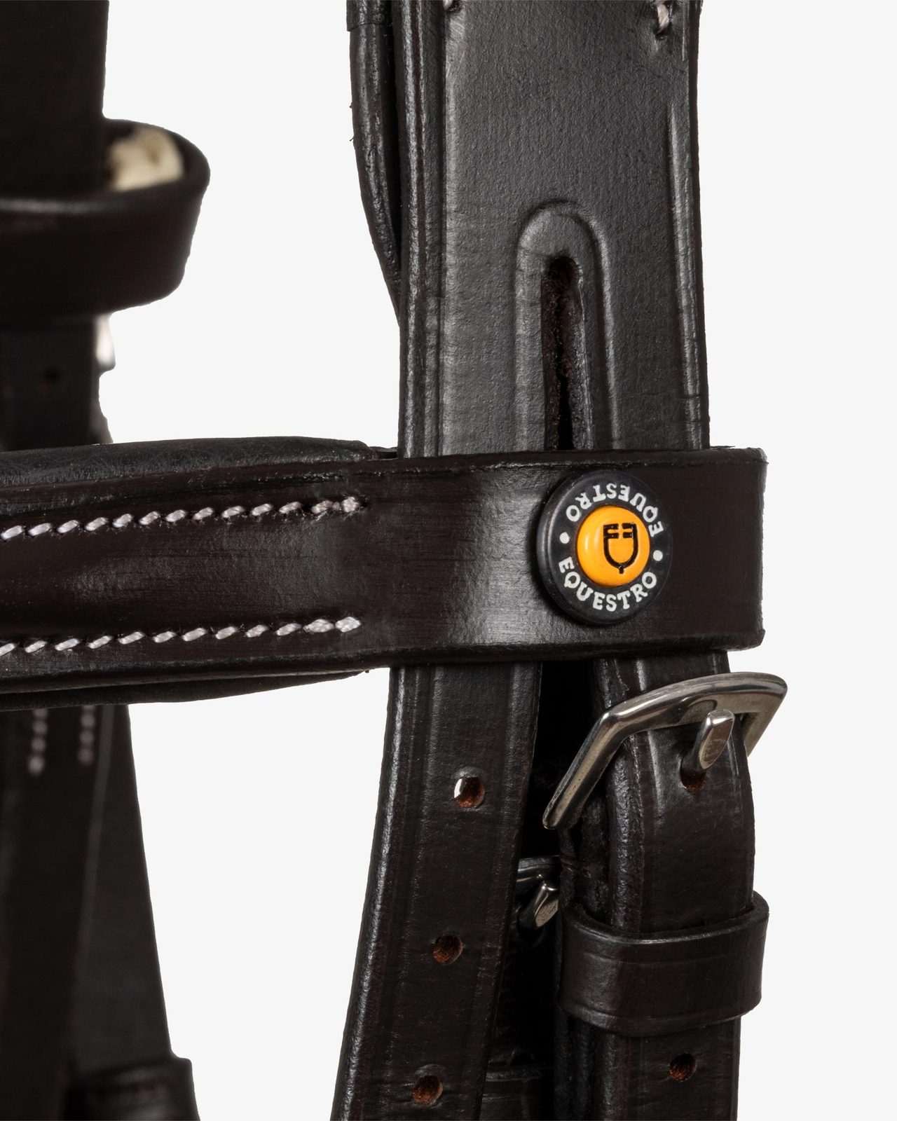 Anatomical bridle with logo