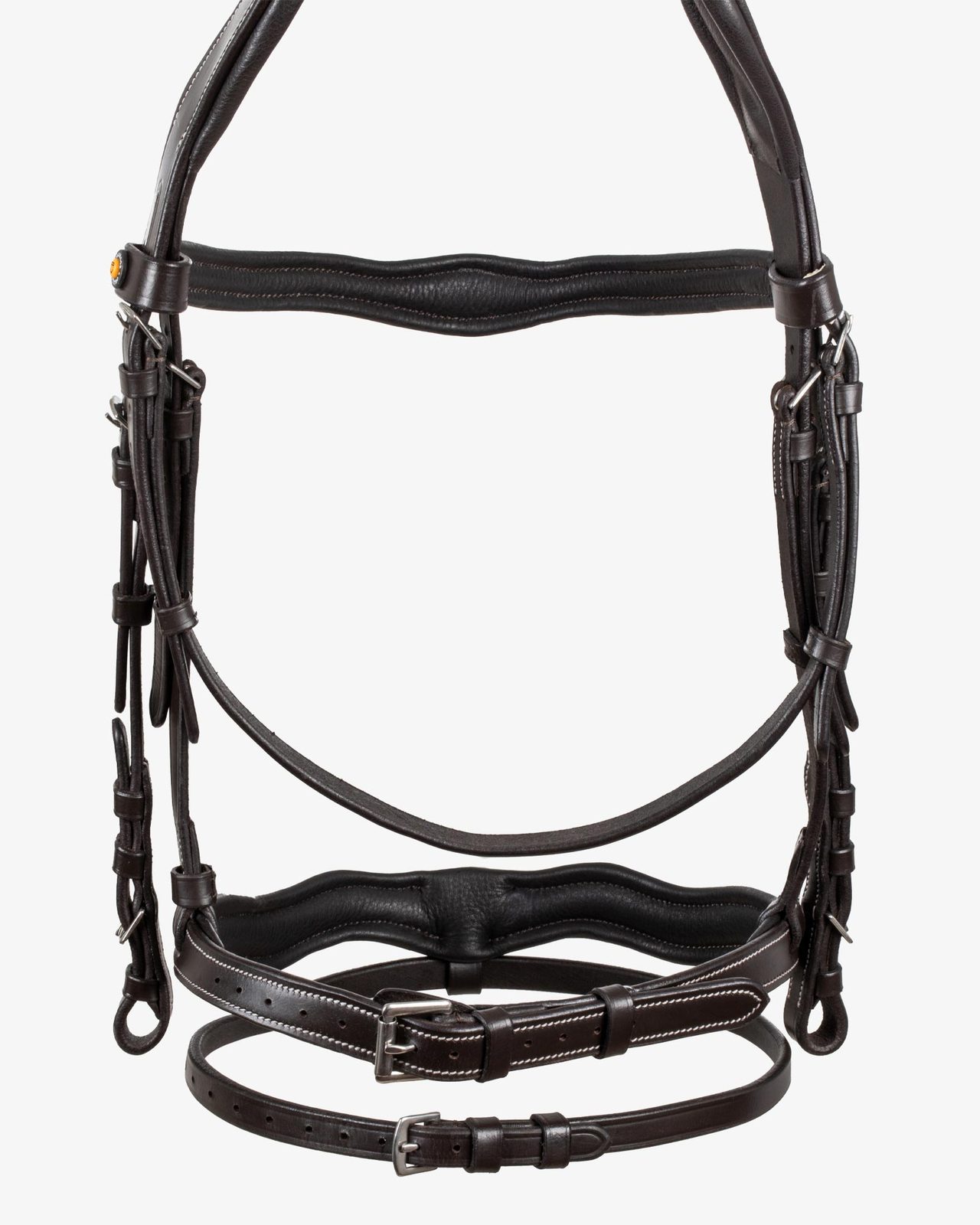 Anatomical bridle with logo