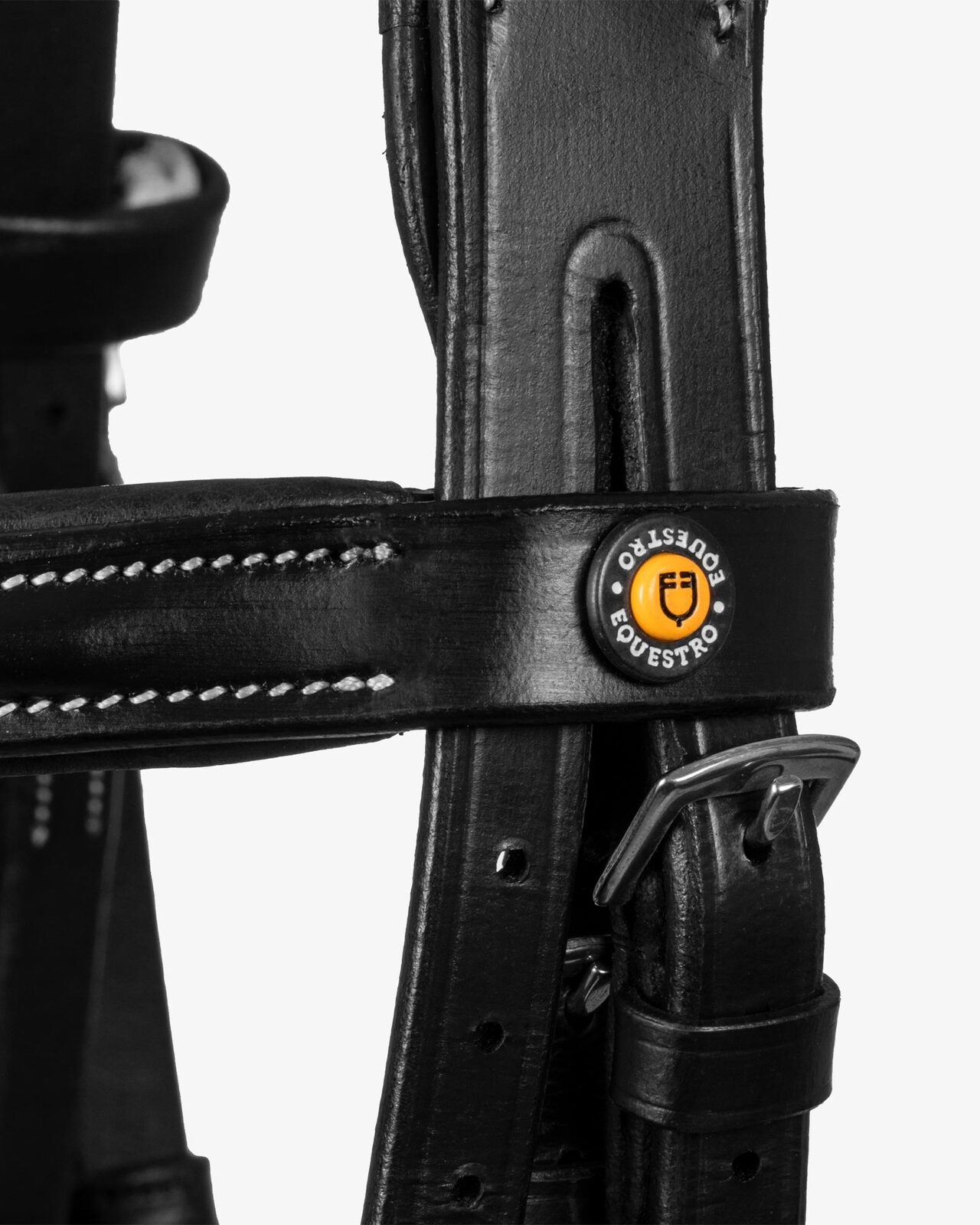 Anatomical bridle with logo