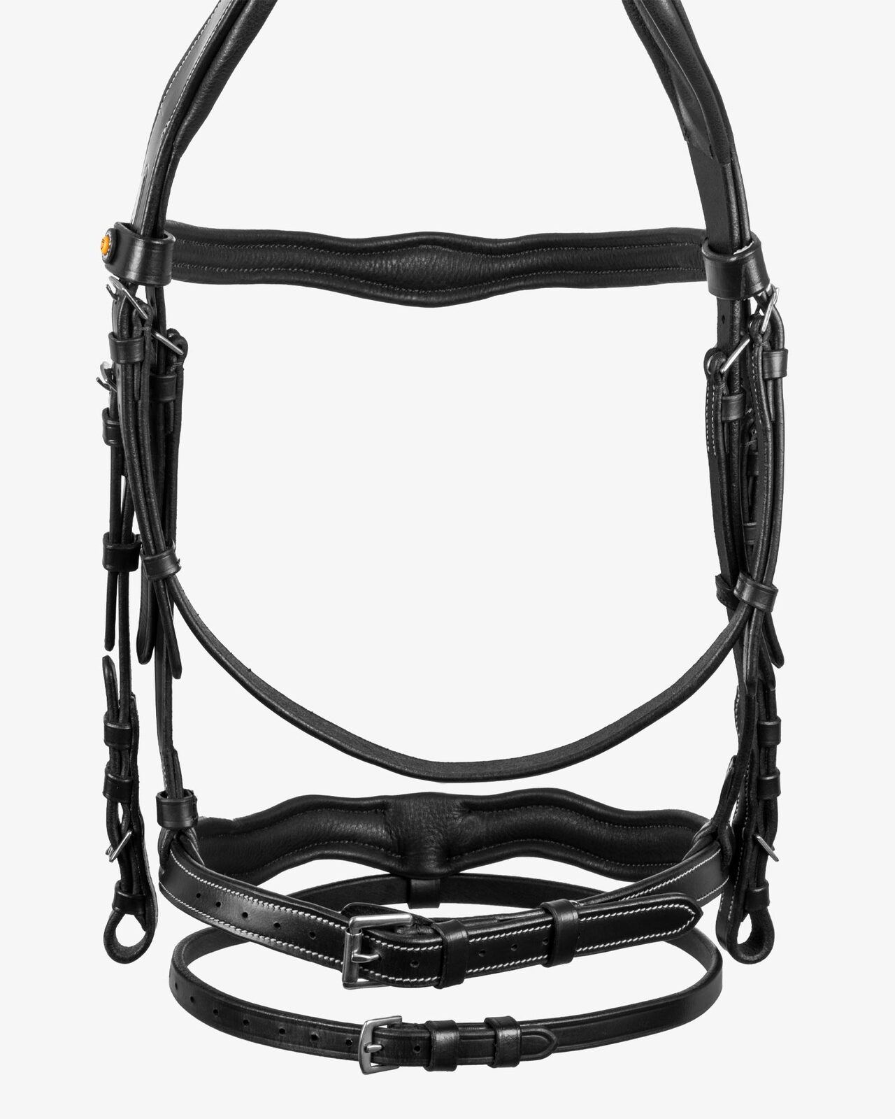 Anatomical bridle with logo