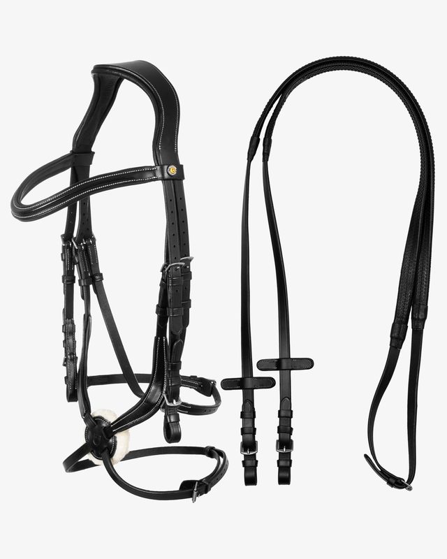 Mexican leather bridle