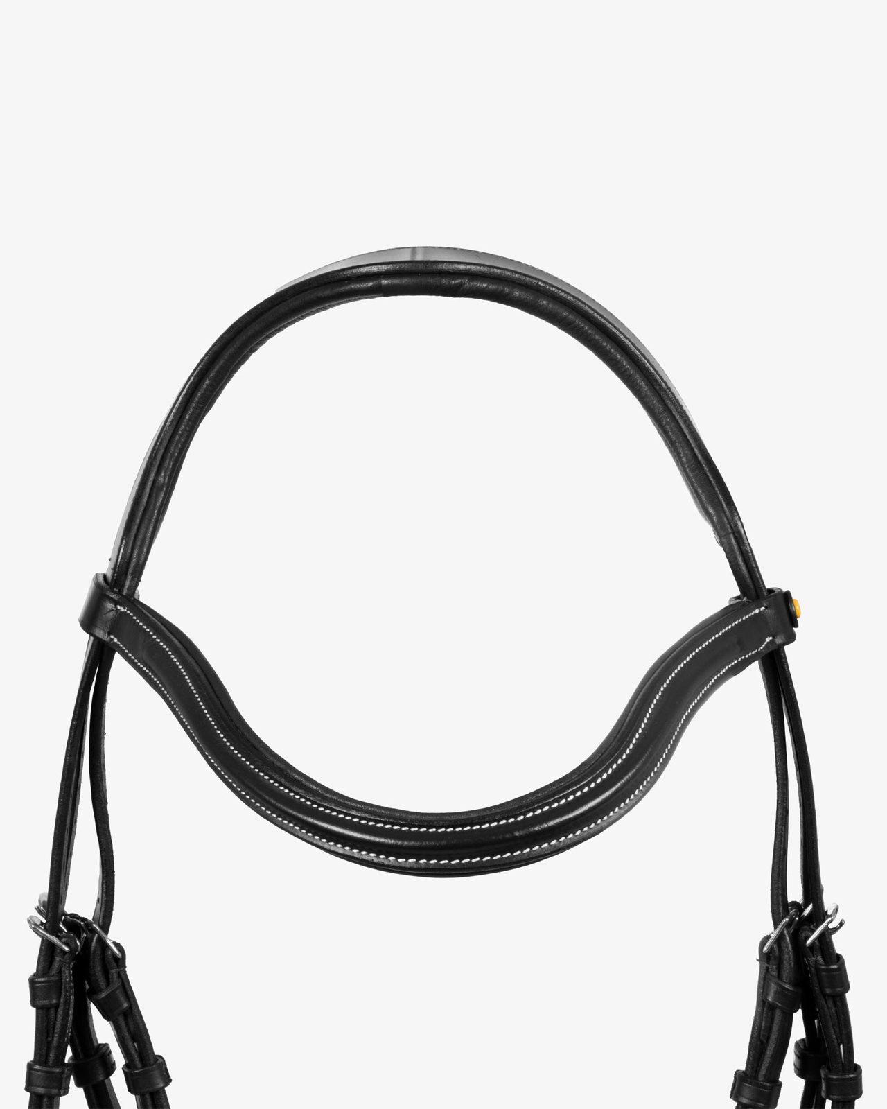 Mexican leather bridle