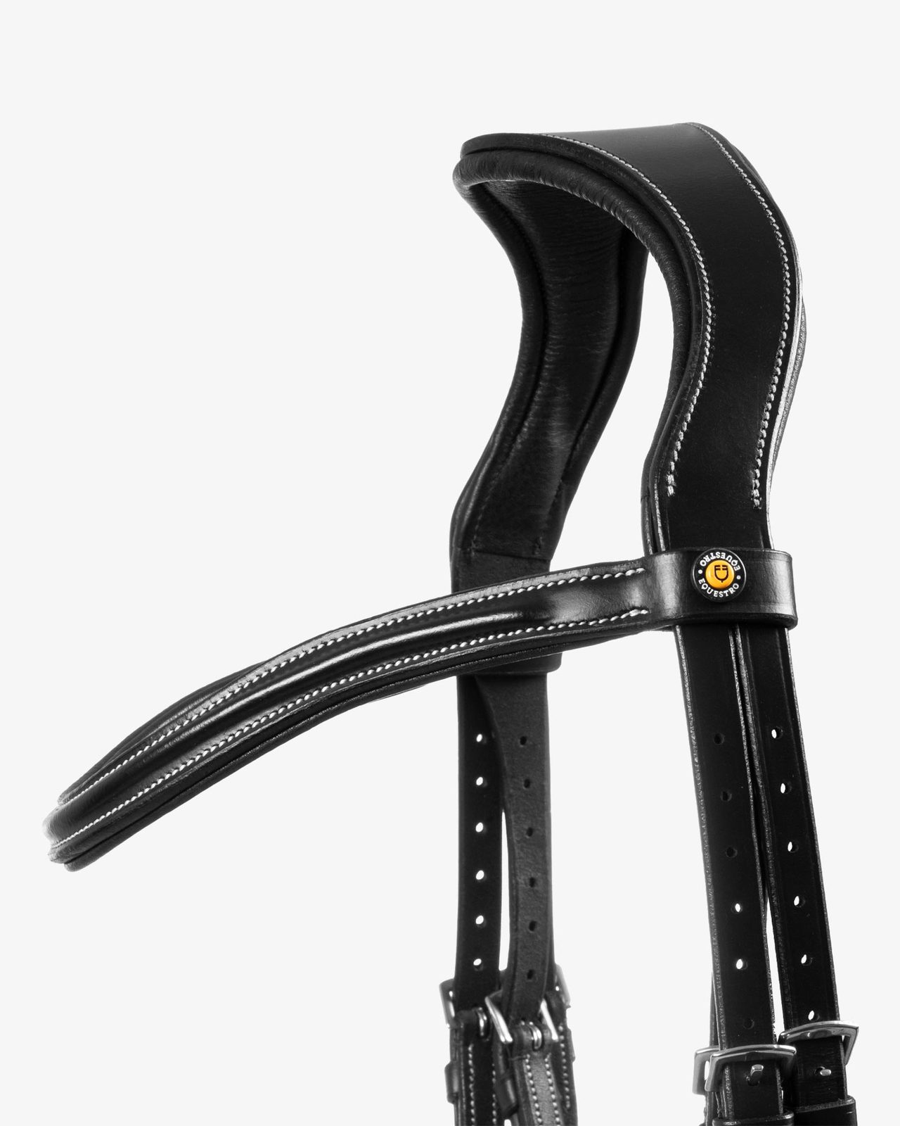 Mexican leather bridle