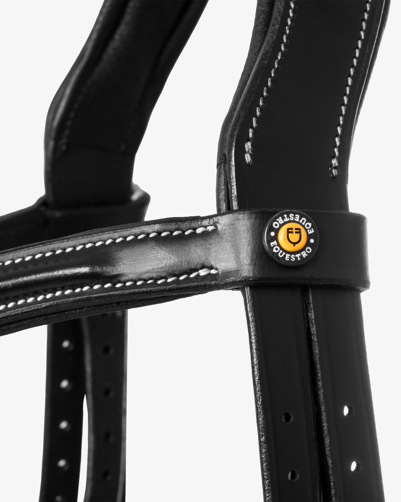 Mexican leather bridle