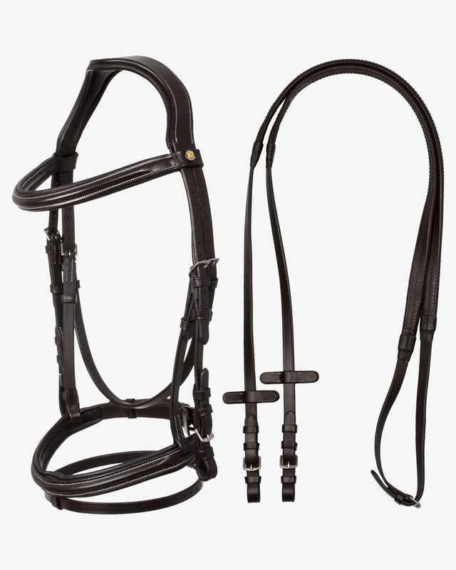 Raised and padded anatomical bridle