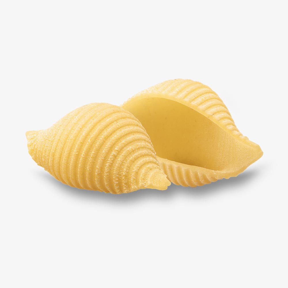 Conchiglie Rigate n° 50 - 3 kg
