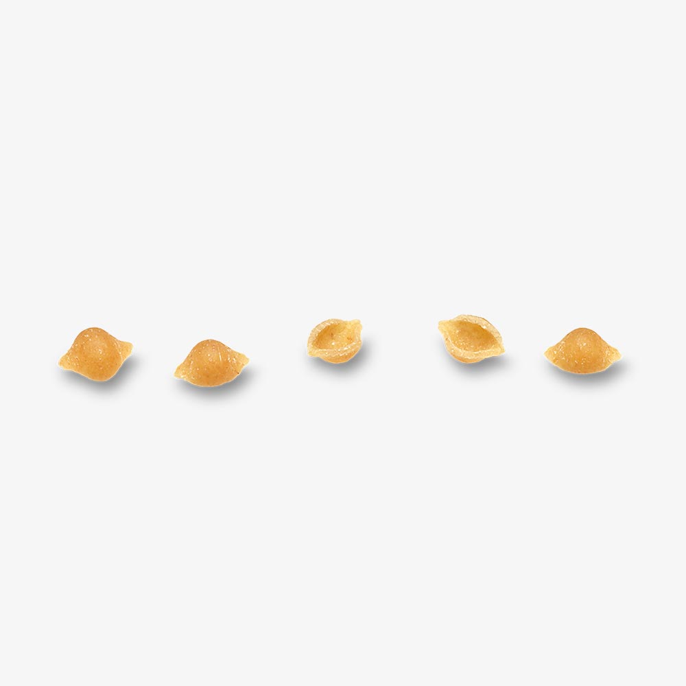 Conchigliette Piccole n° 53 Integrali