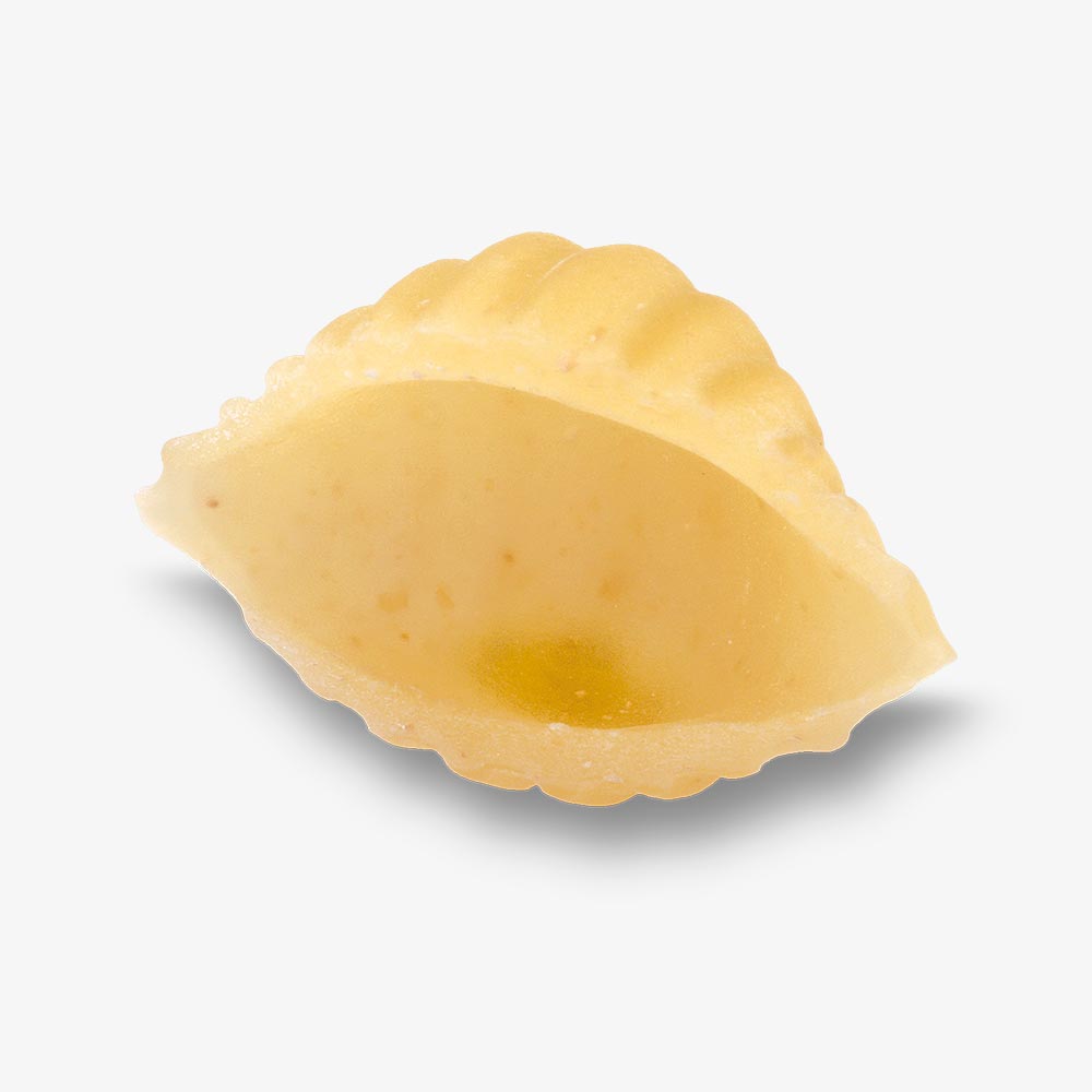 Conchigliette Rigate n° 51