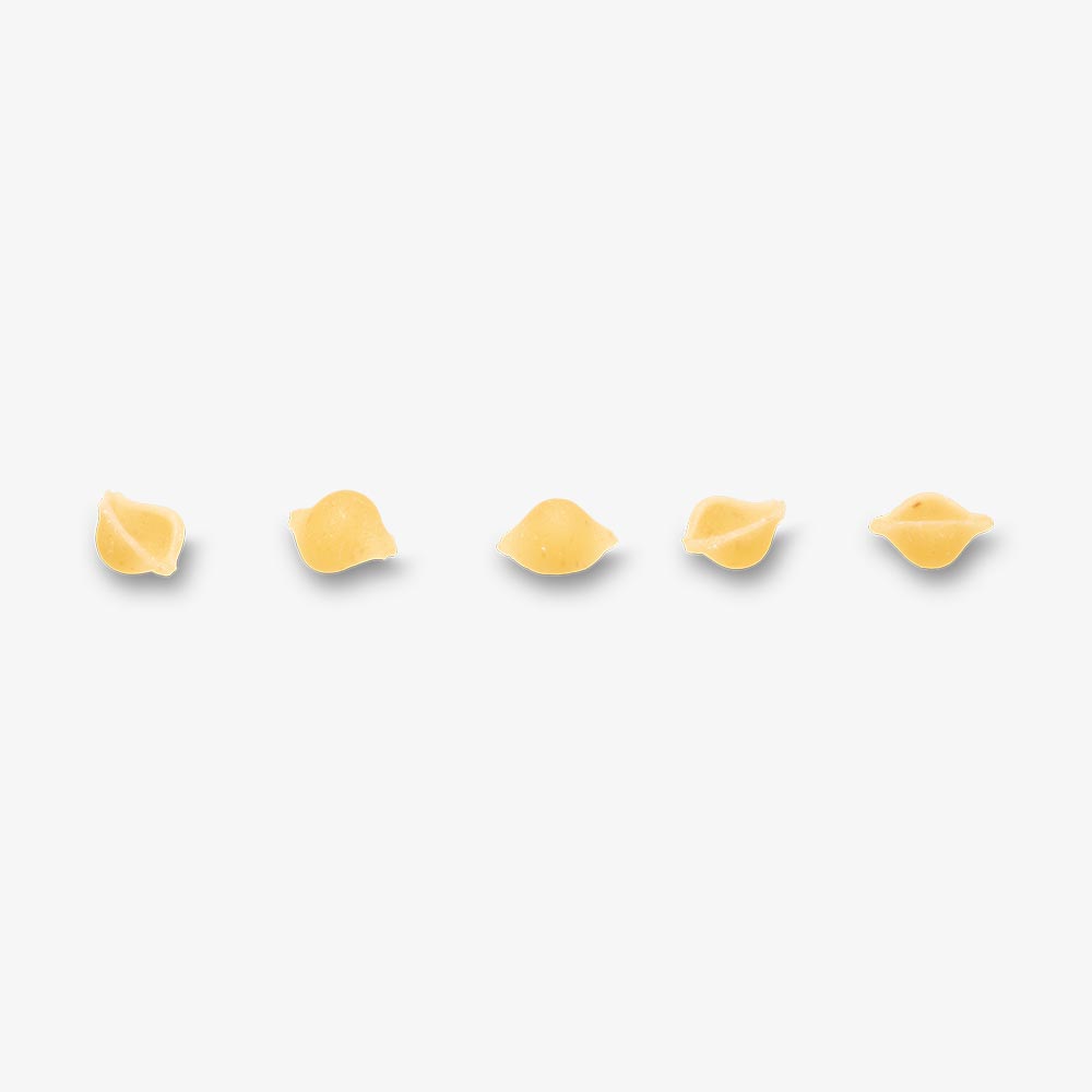 Conchigliette Piccole n° 53