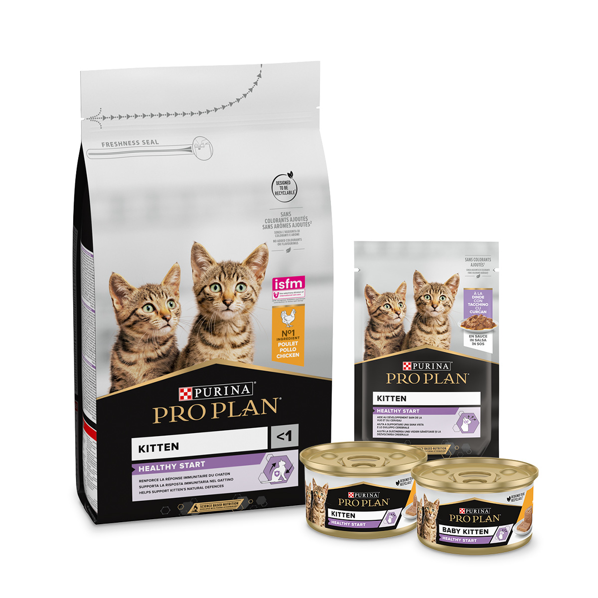 Kit Puppy Gatto