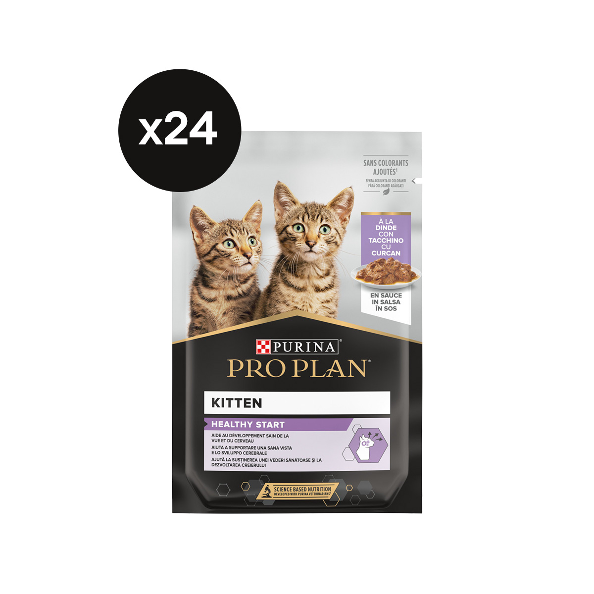 Kit Puppy Gatto