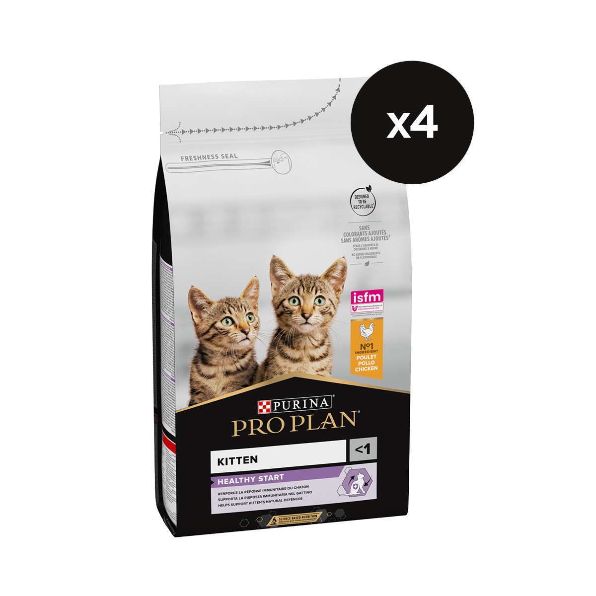 Kit Puppy Gatto