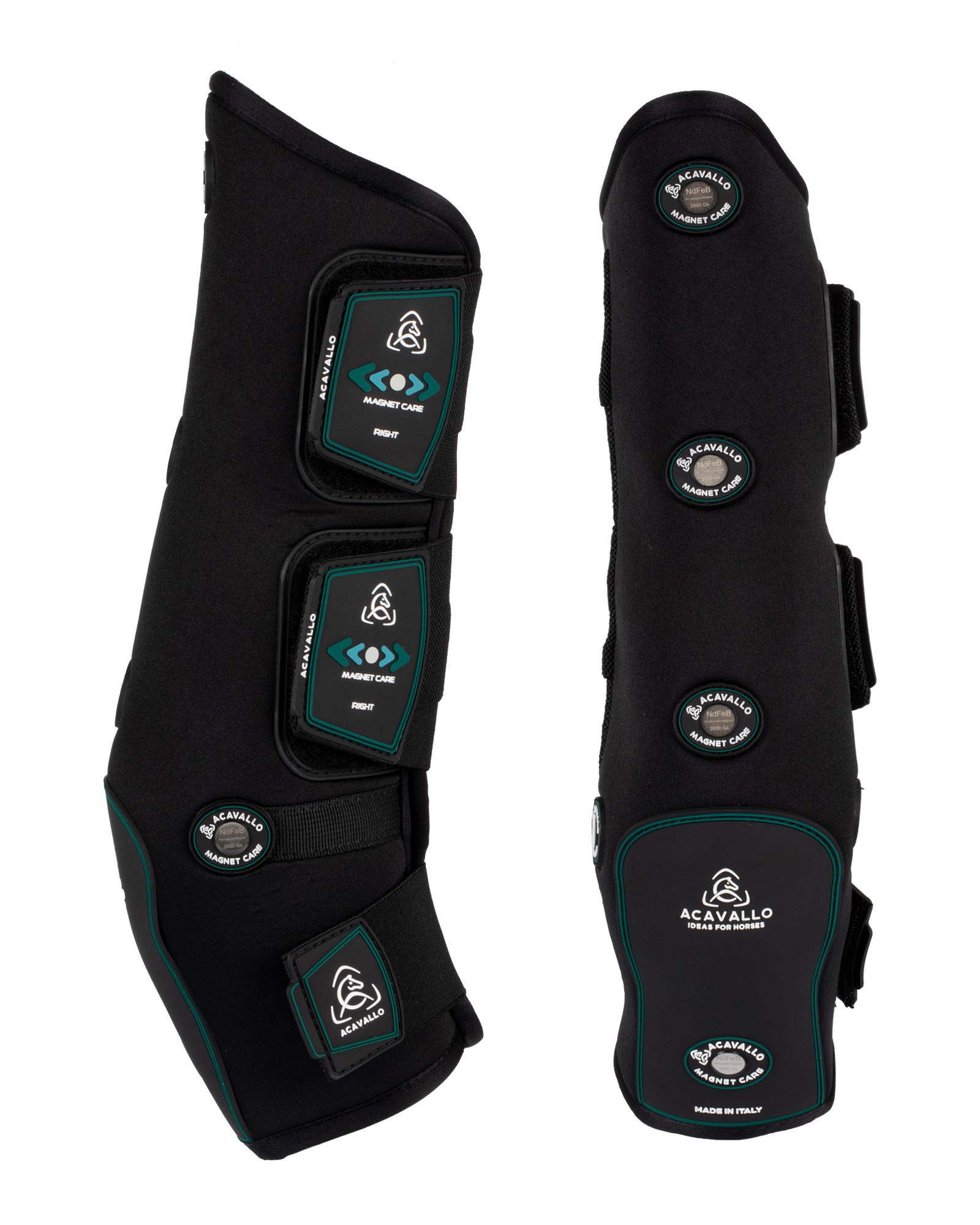 Magnetic hind boots AC9740 Shop Acavallo