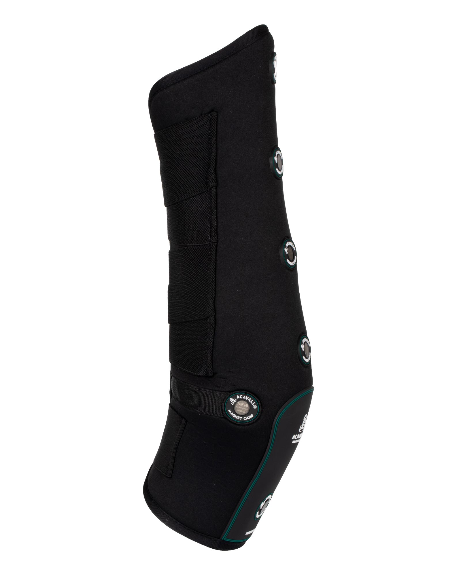 Magnetfeld Gamaschen hinten