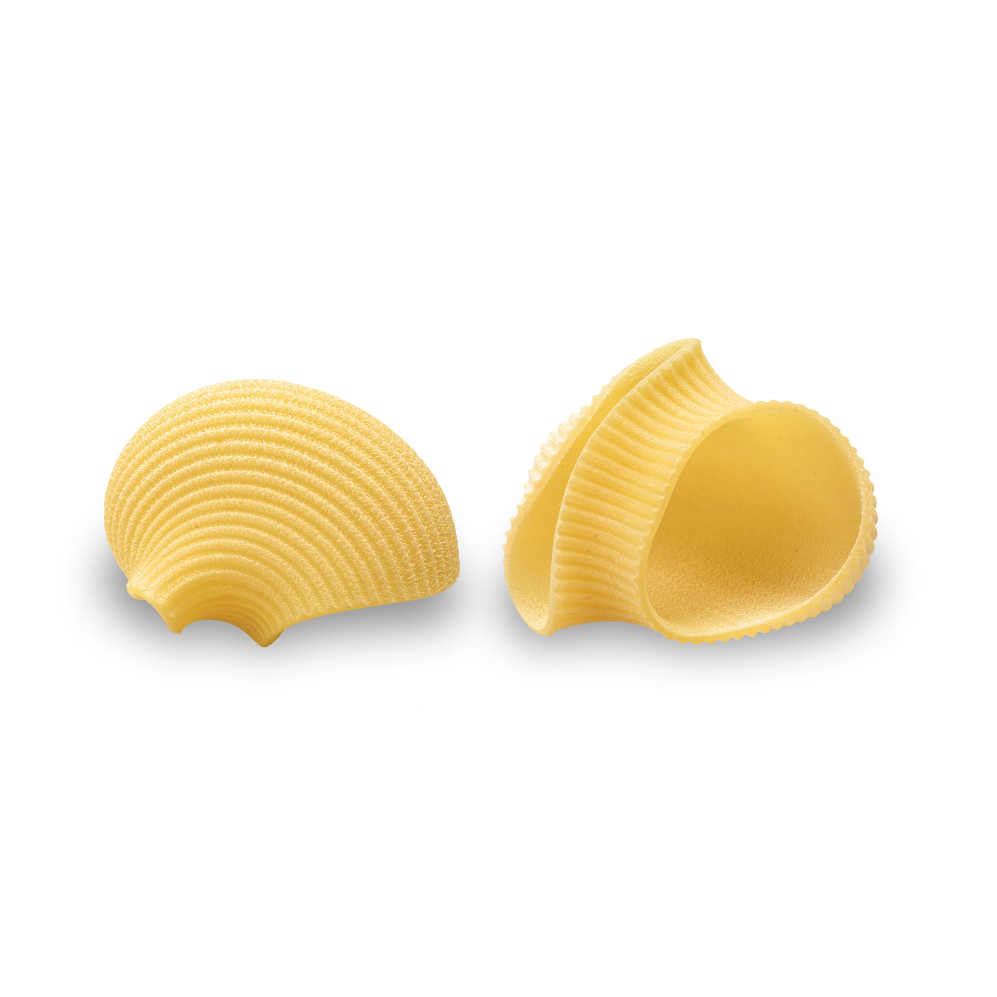 Lumaconi Rigati n° 123