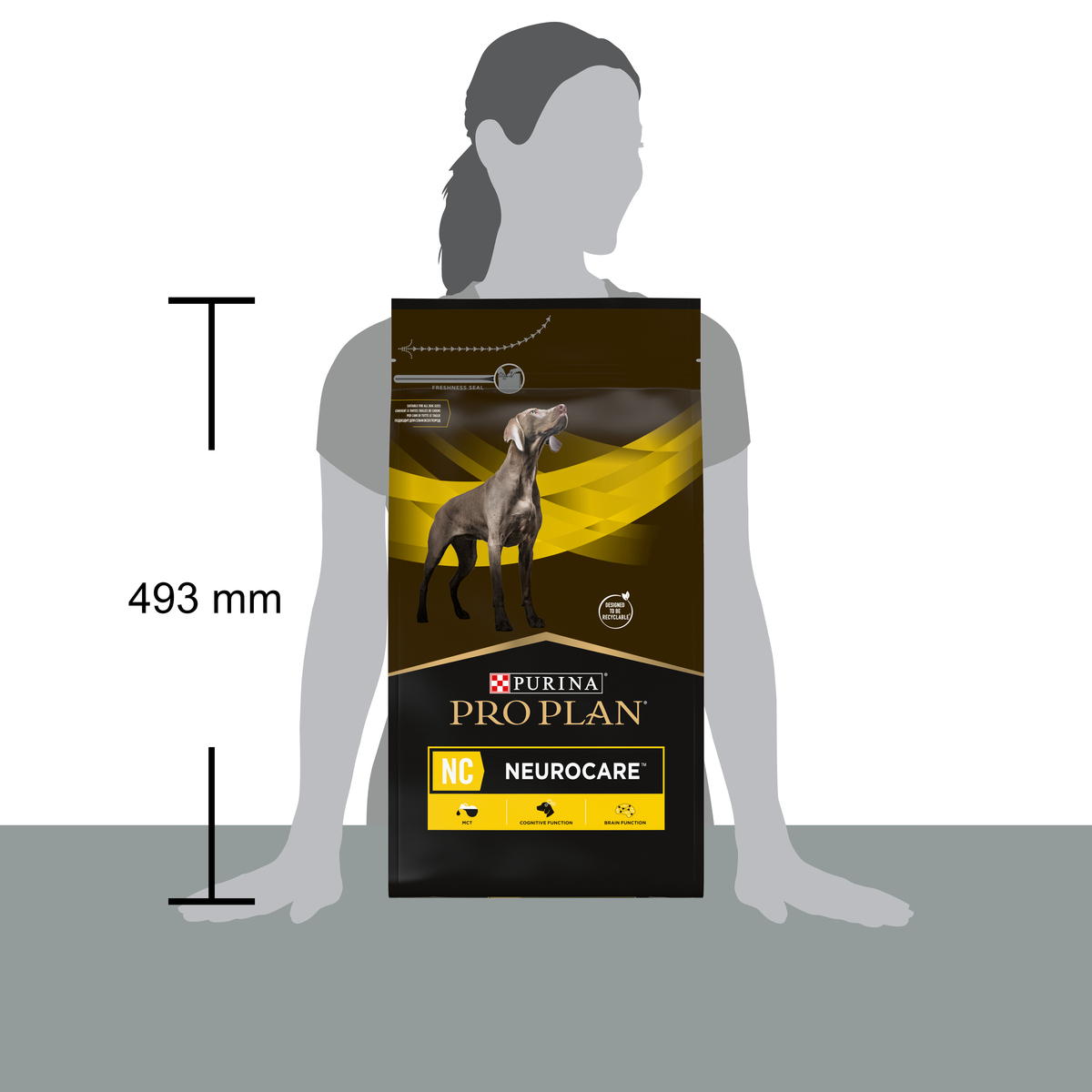 PURINA PRO PLAN® secco cane NC Neurocare