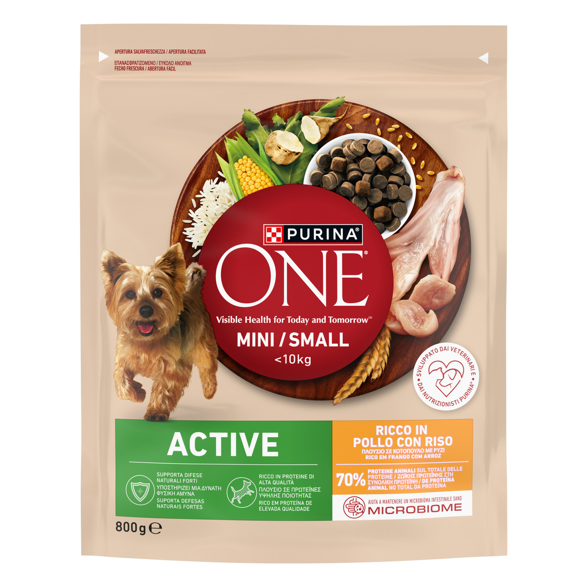 PURINA ONE MINI SMALL 10kg Active Pollo e Riso 800 g Purinashop