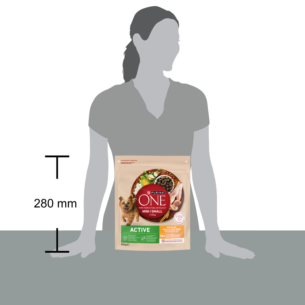 PURINA ONE® MINI/SMALL < 10kg Active Ricco in Pollo Con Riso