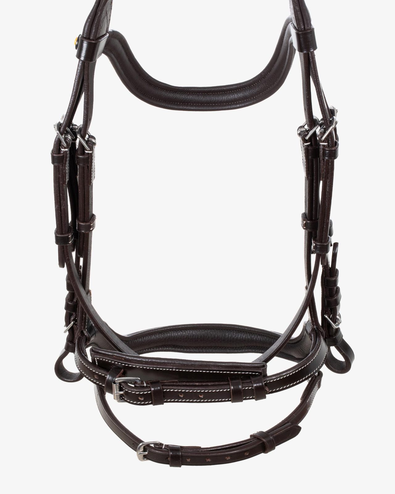 Anatomical bridle contrast stitching