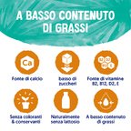 ALPRO CLASSICO Bevanda Vegetale Cocco e Mandorla 8x1l