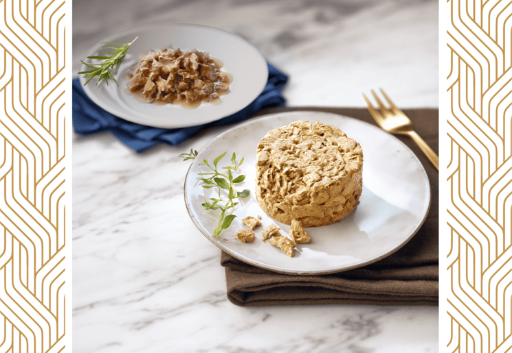 Piatto con cibo della selezione gourmet