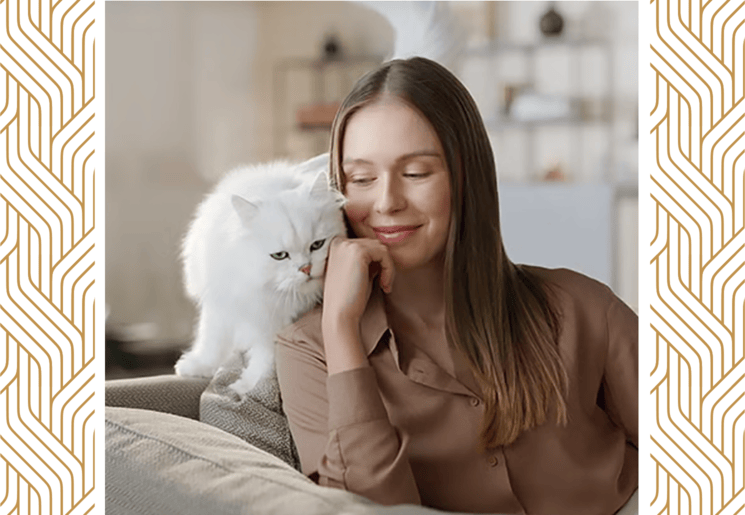 Immagine di gatto
